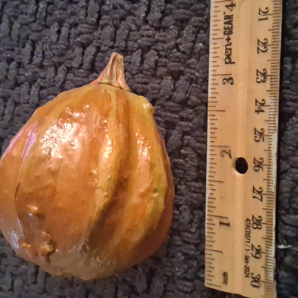 Rustic Dried Gourd Collection - Picture 7 of 9